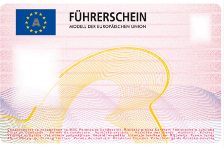 Führerscheinform